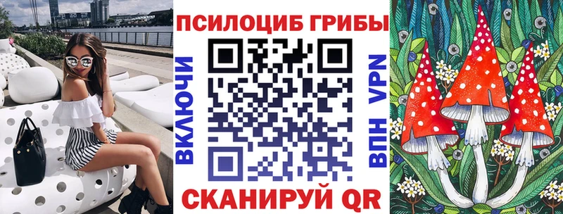 Псилоцибиновые грибы Psilocybine cubensis  Карабаново 